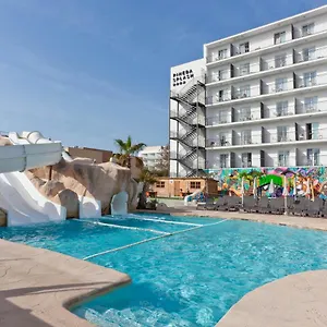 book here